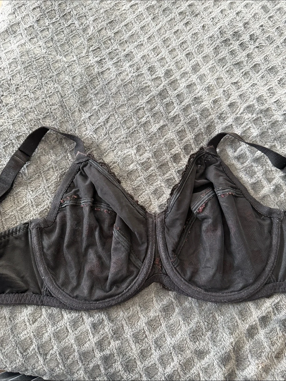 Wacoal Brown Lace Underwire Bra with Floral Embroidery